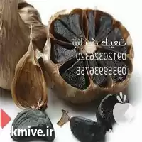 فروش خرید سیر سیاه با قیمتی در گروه خرید و فروش سیر در یکمیوه