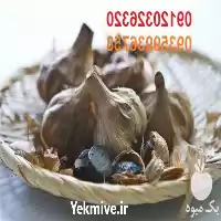 سیر تازه سیاه با بهترین کیفیت در قم در گروه خرید و فروش سیر در یکمیوه