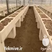 تولید فروش گلدان یونولیتی گل رز در پاکدشت در گروه خرید و فروش گلدان در یکمیوه