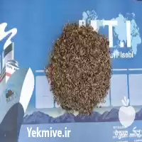 قیمت خرید انواع خوراک دام طیور در ساری در گروه خوراک دام و طیور در یکمیوه