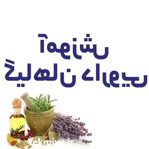 آموزش گیاهان دارویی در گروه دوره آموزش کشاورزی در یکمیوه -عکس1