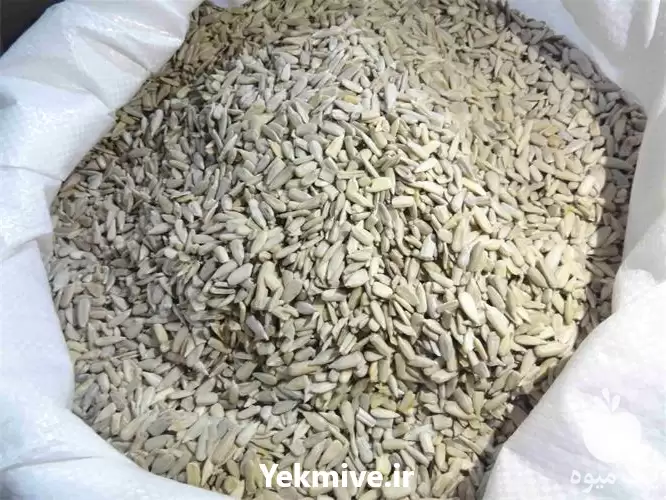 قیمت خرید مغز تخمه ایرانی در تهران در گروه خرید و فروش انواع تخمه در یکمیوه -عکس1