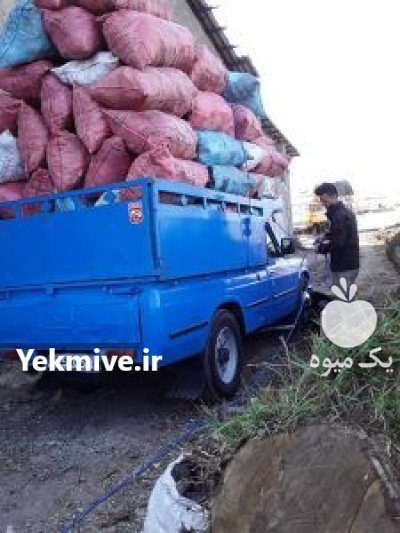 فروش ذغال کبابی در مشگین شهر در گروه خرید و فروش زغال در یکمیوه -عکس1