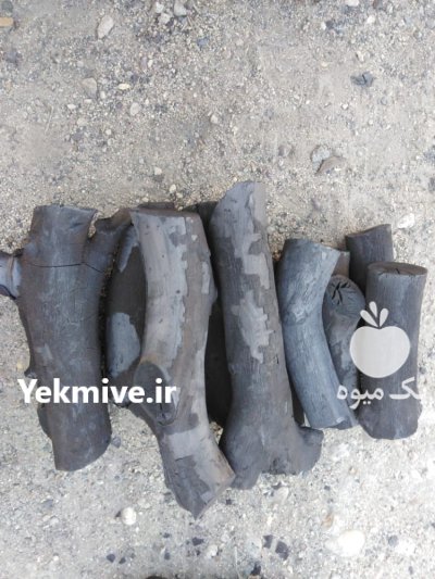 فروش ذغال کبابی در مشگین شهر در گروه خرید و فروش زغال در یکمیوه -عکس4