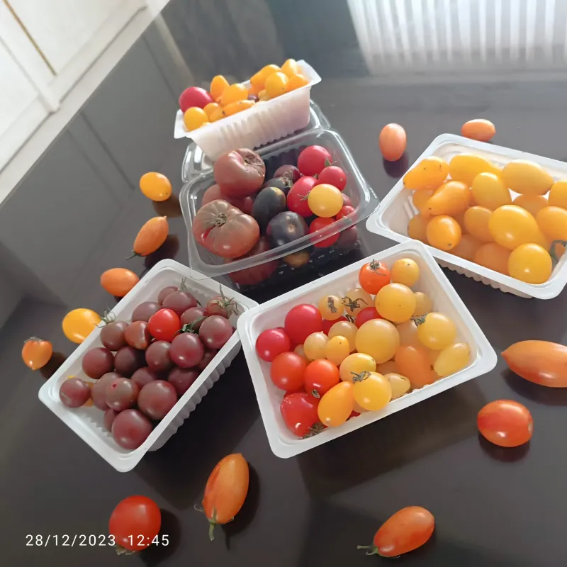 گوجه چری رنگی در مشهد در گروه خرید و فروش گوجه فرنگی در یکمیوه -عکس2