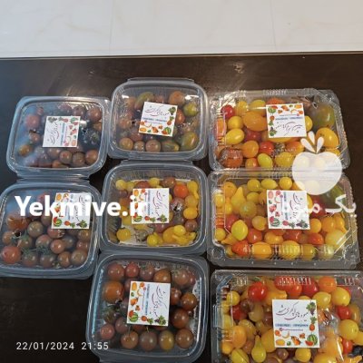 گوجه چری رنگی در مشهد در گروه خرید و فروش گوجه فرنگی در یکمیوه -عکس3