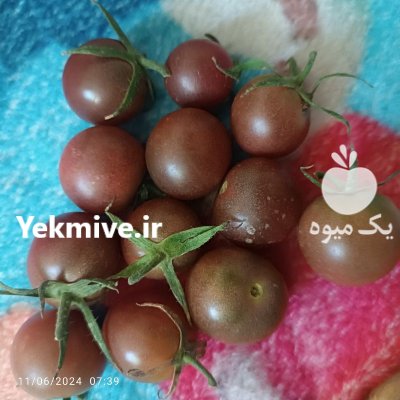 گوجه چری رنگی در مشهد در گروه خرید و فروش گوجه فرنگی در یکمیوه -عکس4