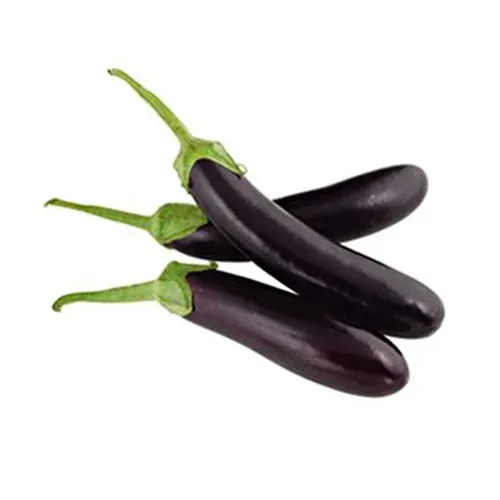 بادمجان قلمی در مشهد در گروه خرید و فروش بادمجان در یکمیوه -عکس1