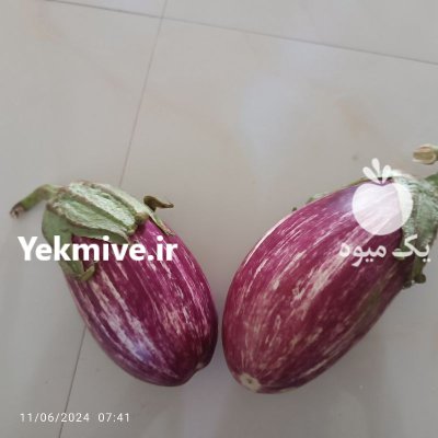 بادمجان بادمجان لایر در گروه خرید و فروش بادمجان در یکمیوه -عکس1