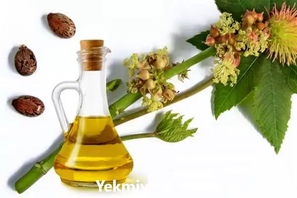 قیمت خرید تامین پخش روغن کرچک در اردبیل در گروه خرید و فروش انواع روغن در یکمیوه -عکس1
