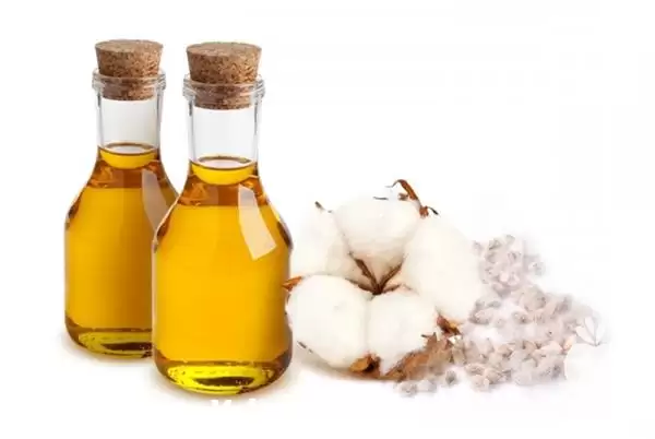 فروش روغن پنبه دانه خام در مشهد در گروه خرید و فروش انواع روغن در یکمیوه -عکس1
