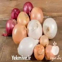 فروش پخش کننده دسته اول پیاز در تهران در گروه خرید و فروش پیاز در یکمیوه