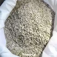 قیمت خرید مغز تخمه ایرانی در تهران در گروه خرید و فروش انواع تخمه در یکمیوه