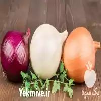 قیمت خرید عرضه پیاز تازه خام در تهران در گروه خرید و فروش پیاز در یکمیوه