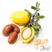 قیمت خرید فوق العاده روغن آرگان در اصفهان در گروه خرید و فروش انواع روغن در یکمیوه