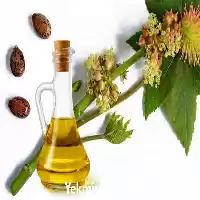 قیمت خرید تامین پخش روغن کرچک در اردبیل در گروه خرید و فروش انواع روغن در یکمیوه