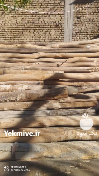 فروش انواع چوب پالتی نجاری و ذغالی در فخرآباد در گروه خرید و فروش پالت در یکمیوه -عکس3