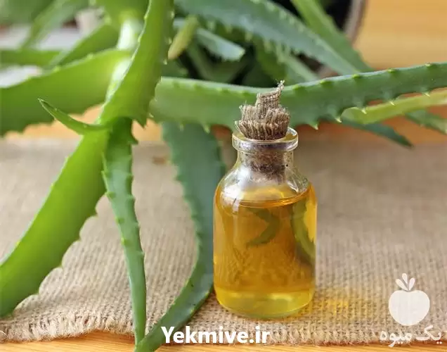 فروش ویژه روغن کاکتوس درجه یک در اصفهان در گروه خرید و فروش انواع روغن در یکمیوه -عکس1