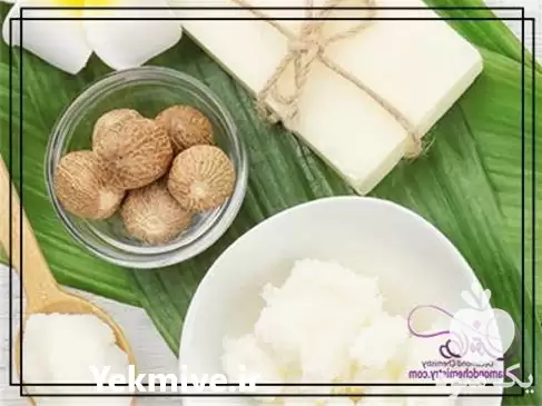 فروش واردات روغن شی باتر قیمت در اردبیل در گروه خرید و فروش انواع روغن در یکمیوه -عکس1