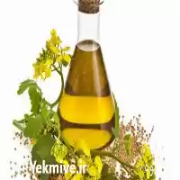 قیمت خرید روغن کندوش قیمت روغن در گروه خرید و فروش انواع روغن در یکمیوه