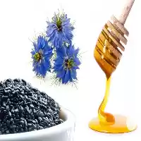 قیمت خرید قیمت عمده روغن سیاهدانه در اصفهان در گروه خرید و فروش انواع روغن در یکمیوه