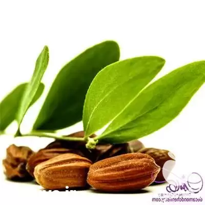 فروش روغن جوجوبای خالص اصل در گروه خرید و فروش انواع روغن در یکمیوه -عکس1