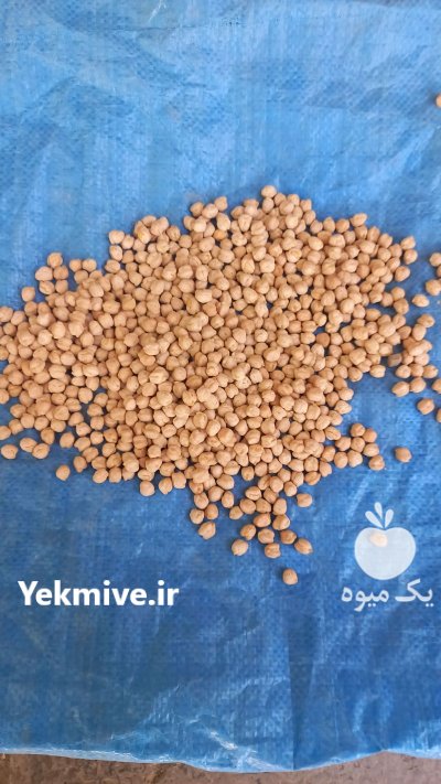 انواع نخود تک خان دوخان سه در کرمانشاه در گروه خرید و فروش غلات و حبوبات در یکمیوه -عکس2