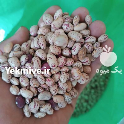 انواع لوبیا سفید قرمز و چیتی در کرمانشاه در گروه خرید و فروش غلات و حبوبات در یکمیوه -عکس1