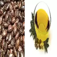 قیمت خرید پخش عمده روغن کرچک در اصفهان در گروه خرید و فروش انواع روغن در یکمیوه