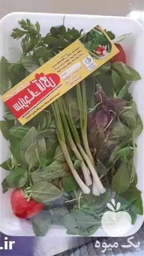 قیمت خرید عمده سبزی خوردن گشنیز در گروه خرید و فروش سبزی های برگی در یکمیوه -عکس1