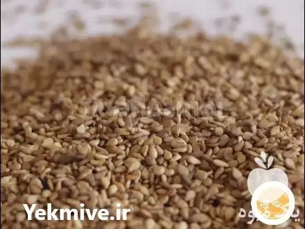 فروش عمده کنجد قهوه ای سودان در قم در گروه خرید و فروش دانه های روغنی در یکمیوه -عکس1