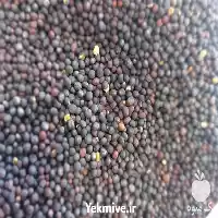 فروش کلزا جهت دانه روغنی در تبریز در گروه خرید و فروش دانه های روغنی در یکمیوه