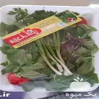 قیمت خرید عمده سبزی خوردن گشنیز در گروه خرید و فروش سبزی های برگی در یکمیوه