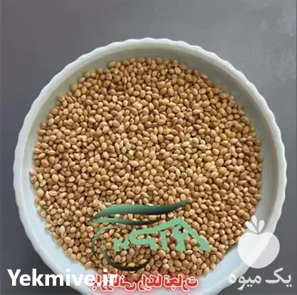 فروش ارزن وارداتی در گروه خرید و فروش غلات و حبوبات در یکمیوه -عکس1