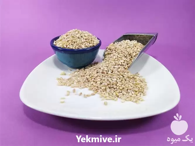 قیمت خرید گندم حلیم یا گندم در تهران در گروه خرید و فروش گندم و جو در یکمیوه -عکس1