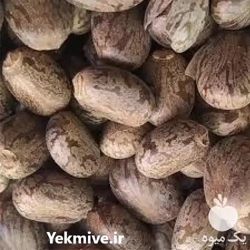 فروش خرید دانه سیاهدانه در گروه خرید و فروش گیاهان دارویی در یکمیوه -عکس1