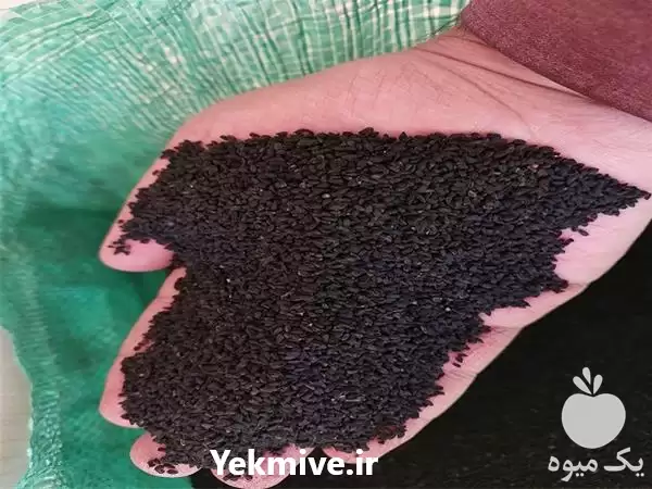 فروش مستقیم سیاه دانه در اصفهان در گروه خرید و فروش گیاهان دارویی در یکمیوه -عکس1