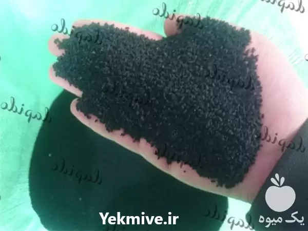 قیمت خرید پخش سیاه دانه اعلا در اصفهان در گروه خرید و فروش گیاهان دارویی در یکمیوه -عکس1