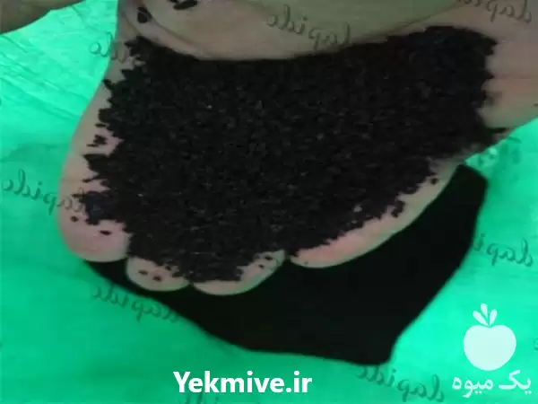 مرکز فروش سیاه دانه عمده در اصفهان در گروه خرید و فروش انواع روغن در یکمیوه -عکس1