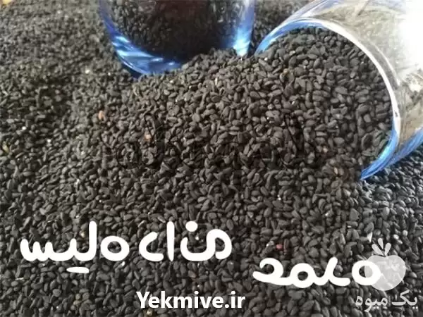 فروش خرید سیاه دانه عمده در اصفهان در گروه خرید و فروش گیاهان دارویی در یکمیوه -عکس1