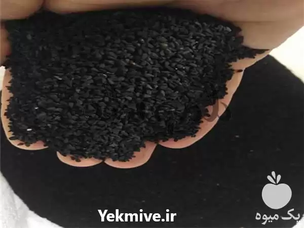 فروش قیمت تولیدی سیاه دانه عمده در اصفهان در گروه خرید و فروش گیاهان دارویی در یکمیوه -عکس1