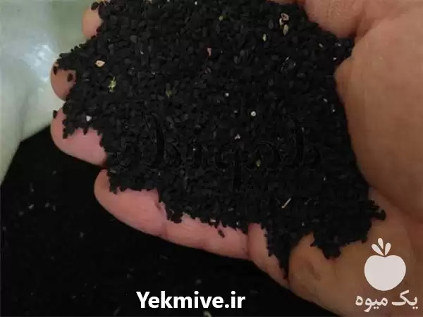 فروش مرکز پخش سیاه دانه صادراتی در اصفهان در گروه خرید و فروش گیاهان دارویی در یکمیوه -عکس1
