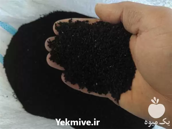 فروش سیاه دانه فله در اصفهان در گروه خرید و فروش گیاهان دارویی در یکمیوه -عکس1