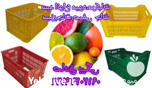 قیمت خرید سبد میوه و مرکبات در گروه خرید و فروش انواع سبد در یکمیوه -عکس1