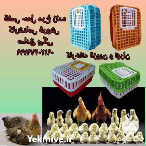 قفس فروش قیمت در تاکستان در گروه تجهیزات مرغداری در یکمیوه -عکس1