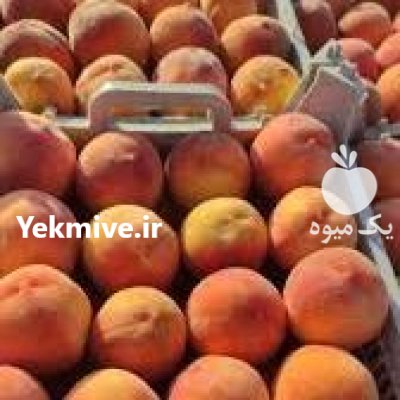 هلو زعفرانی اشنویه در آذربایجان غربی در گروه خرید و فروش هلو در یکمیوه -عکس1