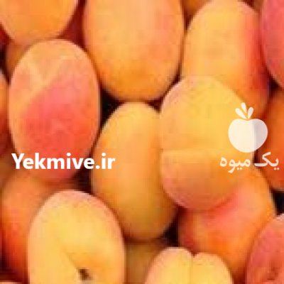 زردآلو کوردستان در سنندج در گروه خرید و فروش زردآلو در یکمیوه -عکس3