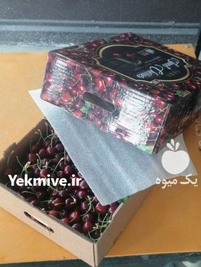 گیلاس تکدانه ارومیه و خوی در آذربایجان غربی در گروه خرید و فروش گیلاس در یکمیوه -عکس2