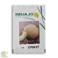 قیمت خرید بذر خربزه گالا قیمت در رشت در گروه خرید و فروش بذر خربزه در یکمیوه