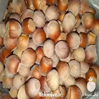 قیمت خرید فندق زیتون روغن زیتون در زنجان در گروه خرید و فروش انواع روغن در یکمیوه